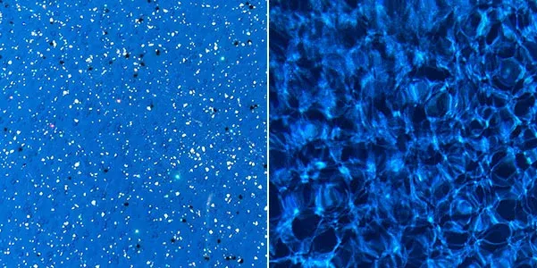 Argyle Blue colour fibreglass pool gelcoat sample and water