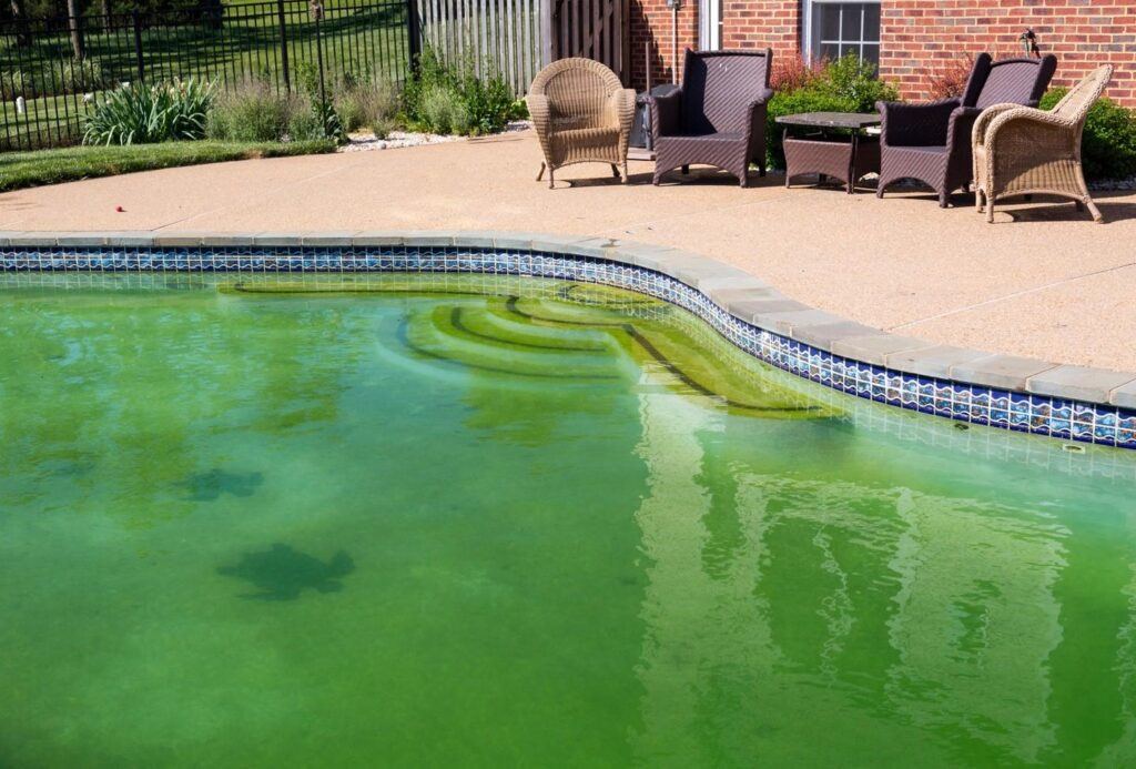 green pool algae in a concrete pool