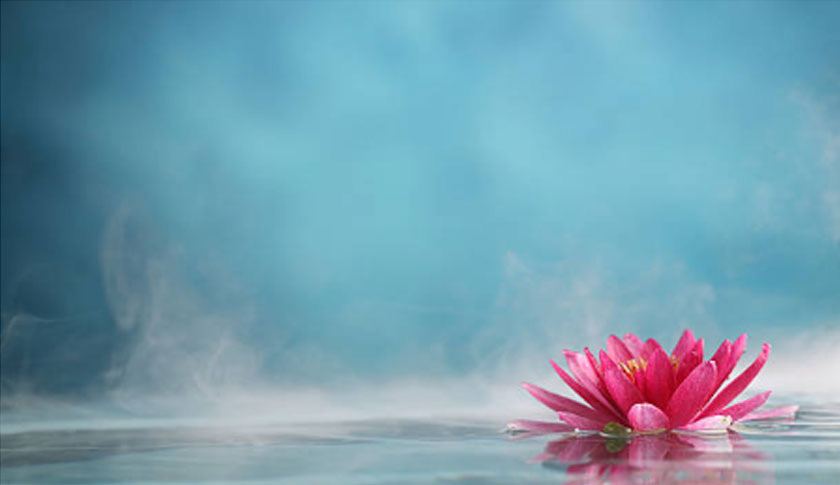 Environmentally Friendly Pool: A SEQ Owner's Guide