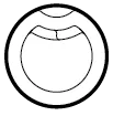 Infinity 3 fibreglass pool dimensions layout, 3.0m diameter plan view